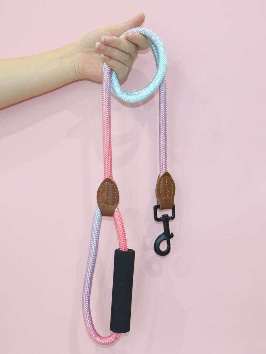 Gradient Dog Leash