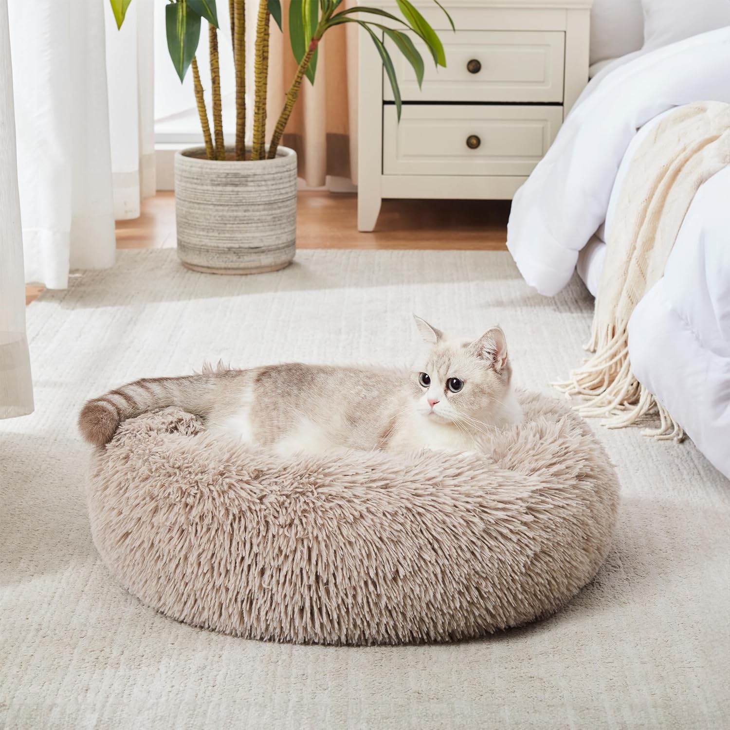 Plushy Round Pet Bed