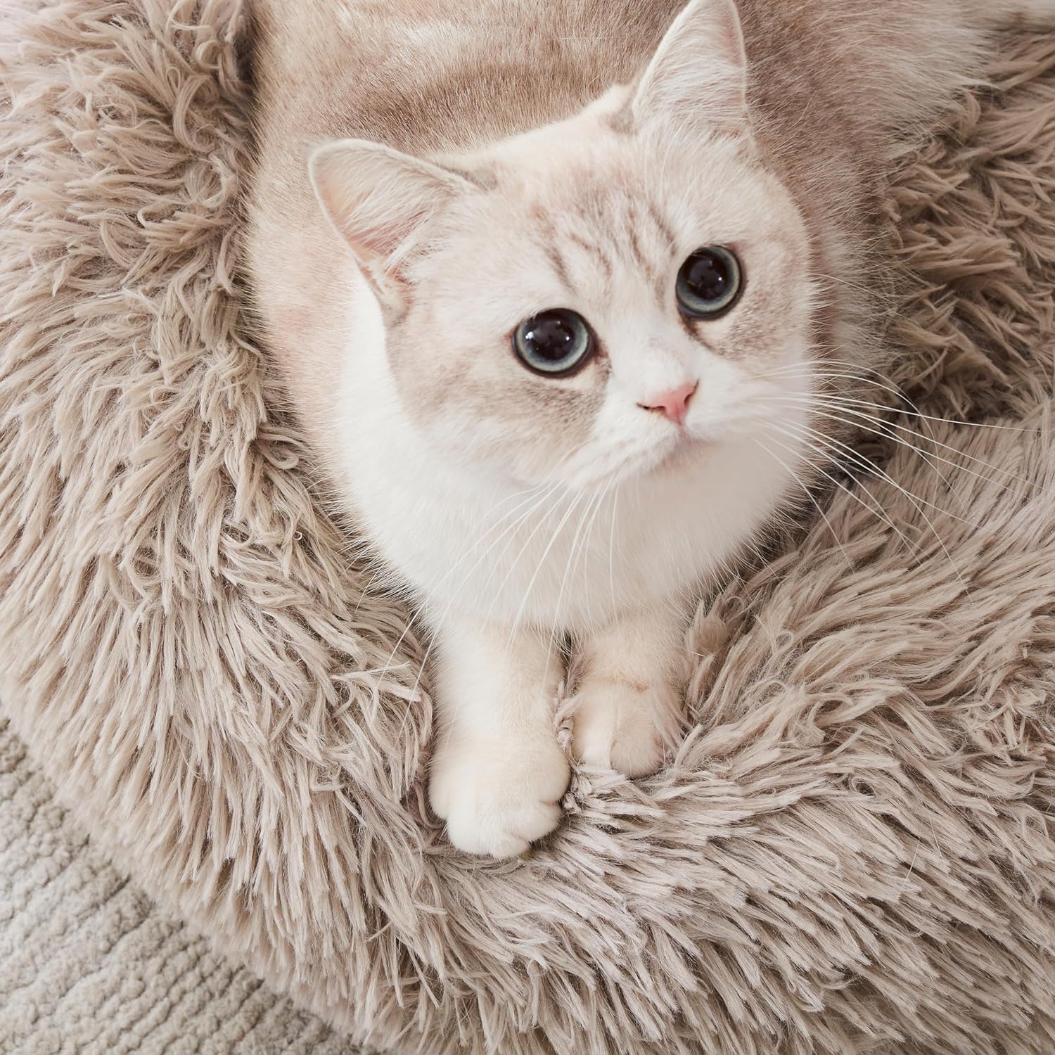 Plushy Round Pet Bed