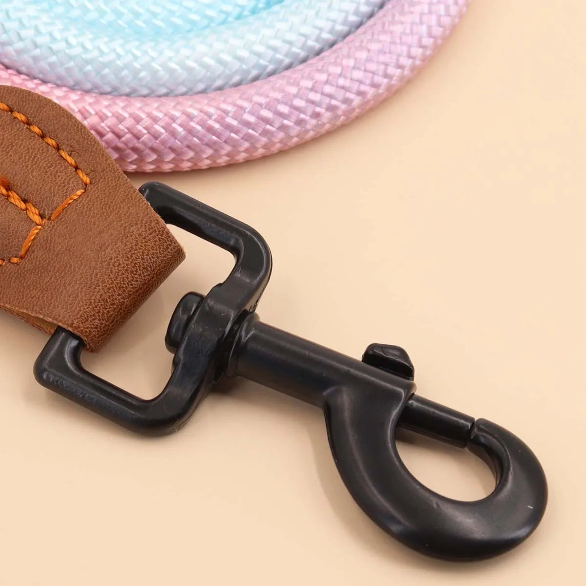 Gradient Dog Leash